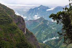 Silent Valley View Kodaikanal